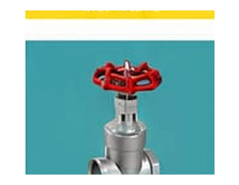 SS Gate Valve product reference image