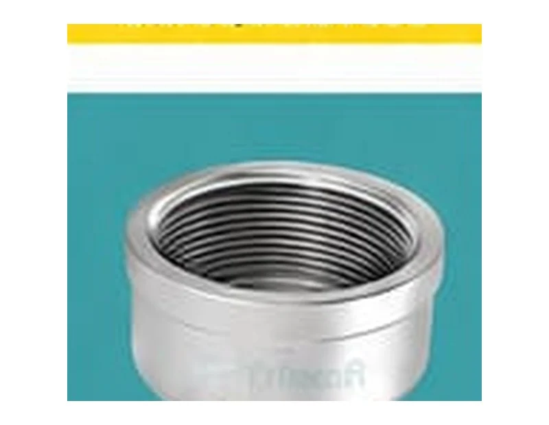 SS Round Cap Plug product visual | Bhawani Steel India
