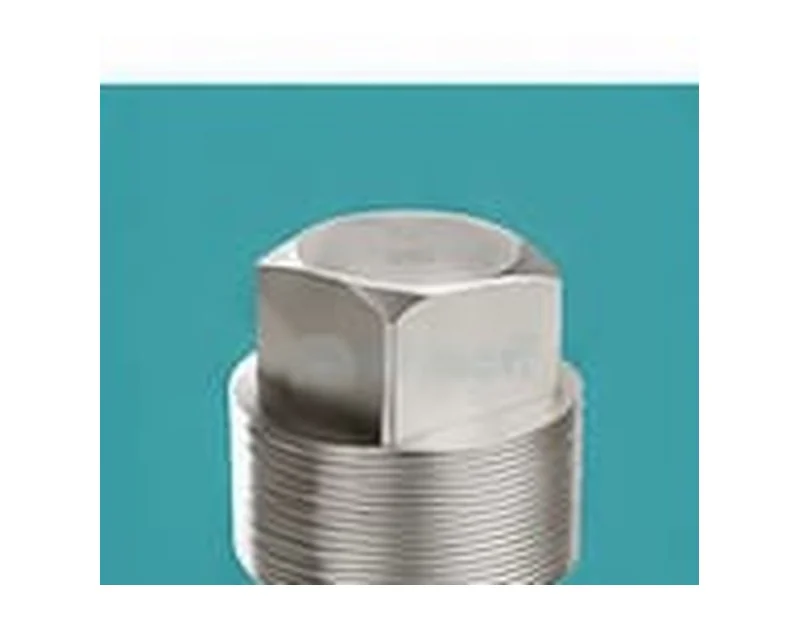 SS Square Plug product reference image